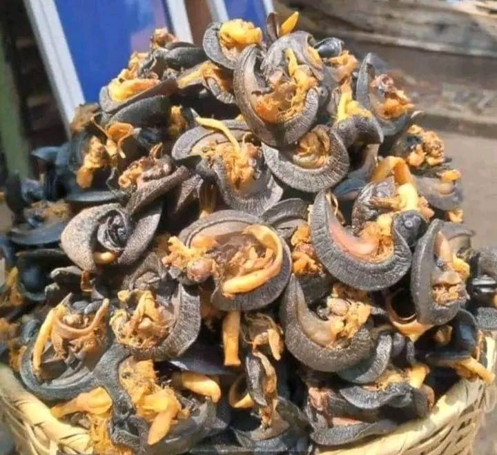 nyama nyama